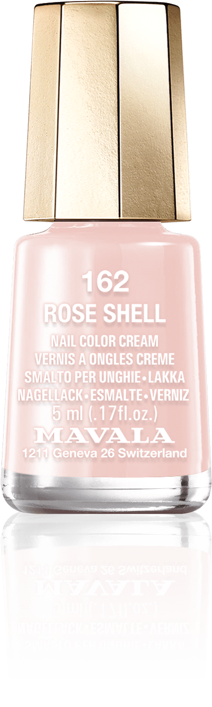 Rose Shell — An opalescent pink