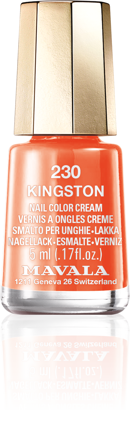 Kingston — Un oranger incandescent, gorgé de la lumière du soleil